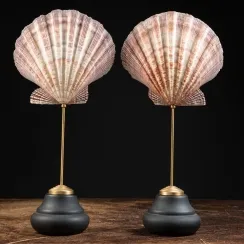 Pecten e Design (4)