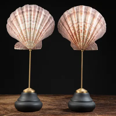 Coppia di Pecten Subnodosus su Piedistallo