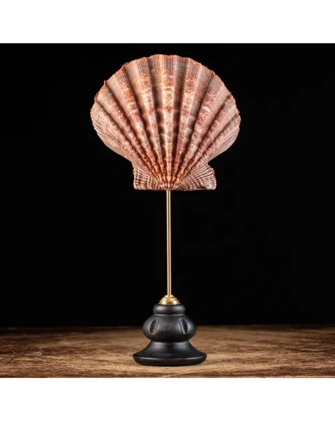 Pecten Subnodosus su Piedistallo