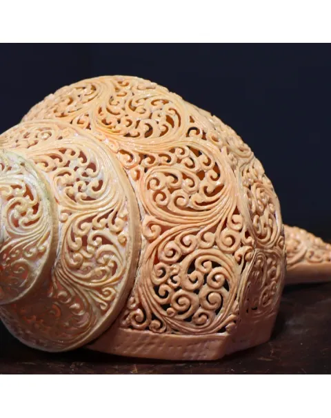 Syrinx Aruanus Intarsiato