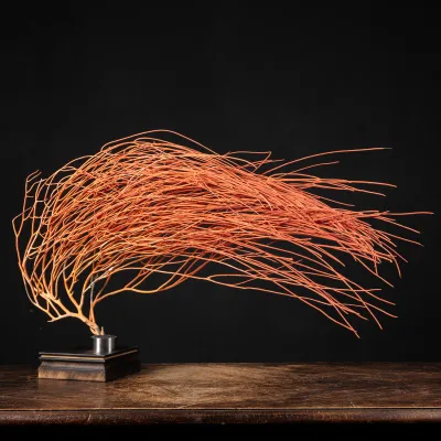 Gorgonia