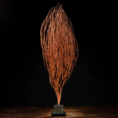 Gorgonia