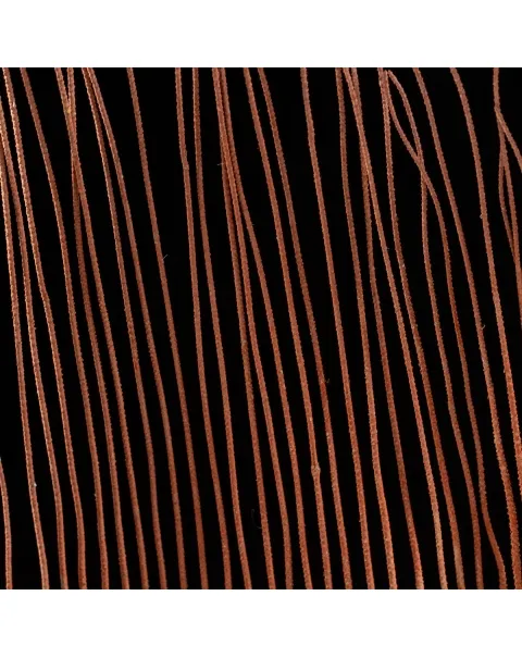 Gorgonia
