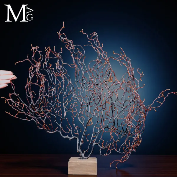Gorgonia Nera – Architettura del Mare.