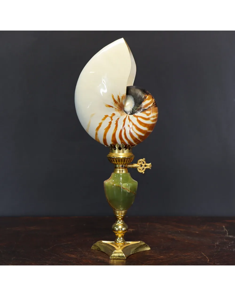 Nautilus Pompilius su Piedistallo