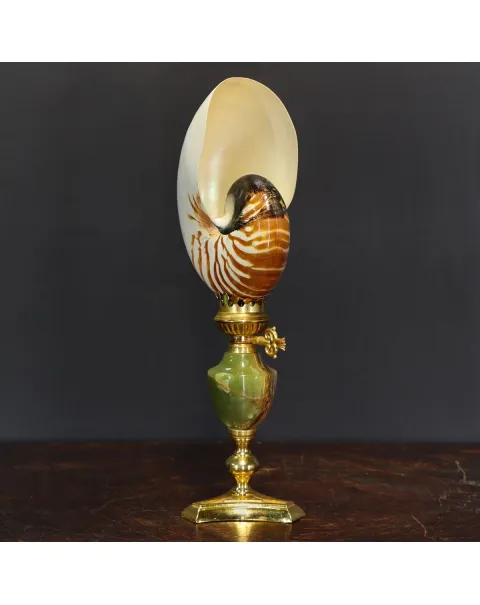 Nautilus Pompilius su Piedistallo