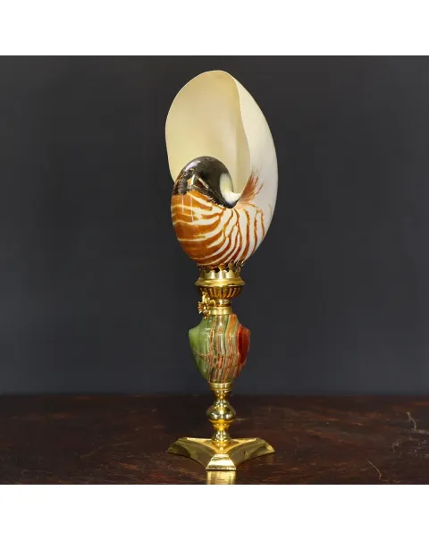 Nautilus Pompilius su Piedistallo