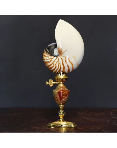 Nautilus Pompilius su Piedistallo