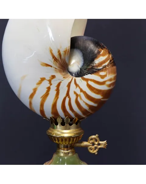 Nautilus Pompilius su Piedistallo