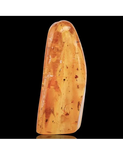Copale con Insetti Fossilizzati – Resina Naturale.