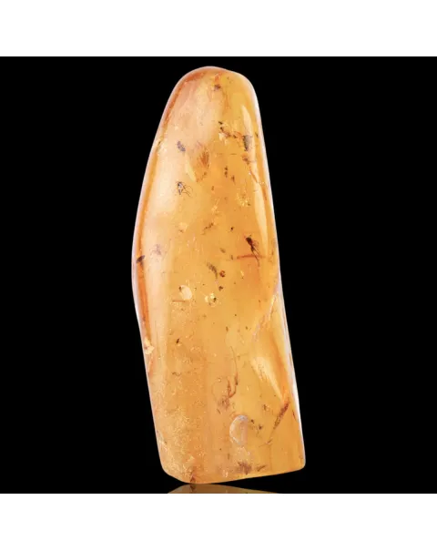 Copale con Insetti Fossilizzati – Resina Naturale.