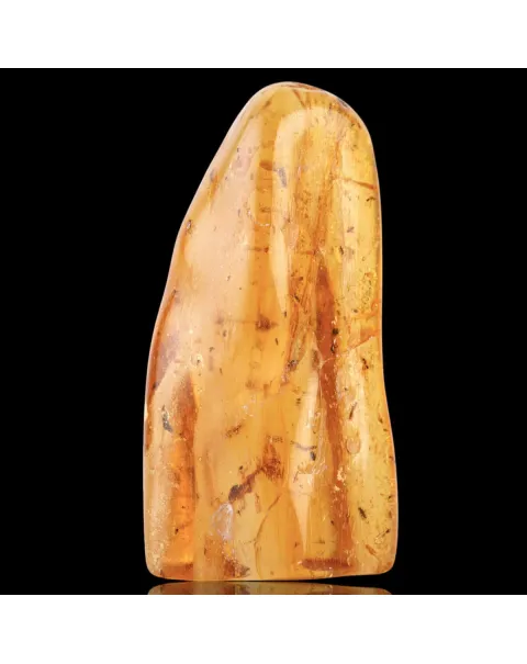 Copale con Insetti Fossilizzati – Resina Naturale.