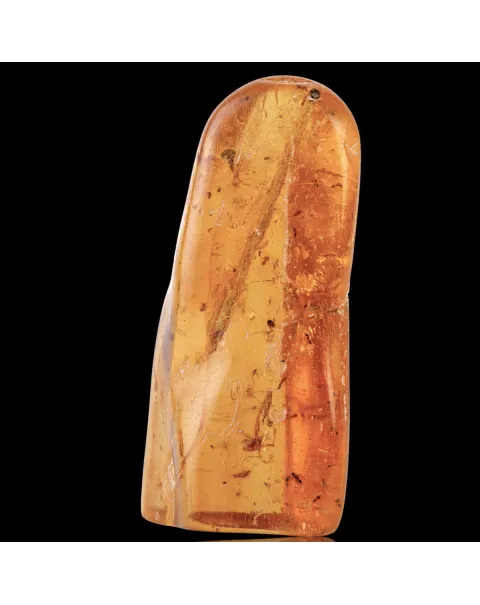 Copale con Insetti Fossilizzati – Resina Naturale.