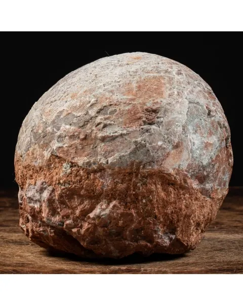 Uovo Fossile Saurolophus