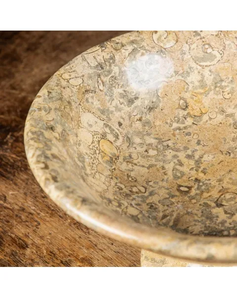 Portafrutta  con Sedimenti Fossili