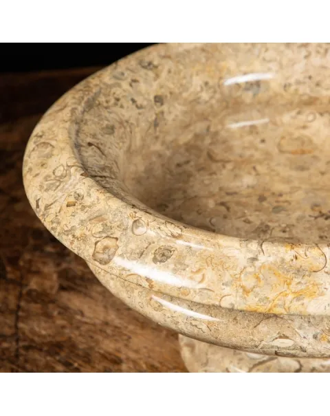 Portafrutta  con Sedimenti Fossili