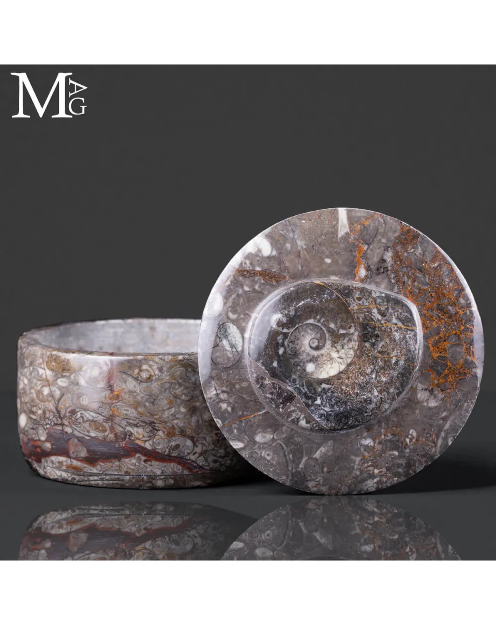 Contenitore  in roccia fossilifera – Ammonite