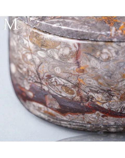 Contenitore  in roccia fossilifera – Ammonite