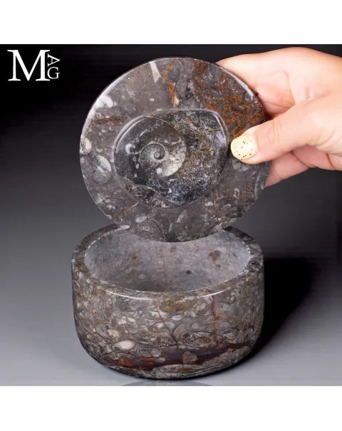 Contenitore  in roccia fossilifera – Ammonite
