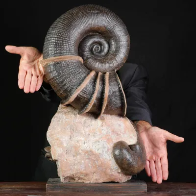 Litoceras fimbriatum: Eleganza Fossile dal Giurassico Francese.