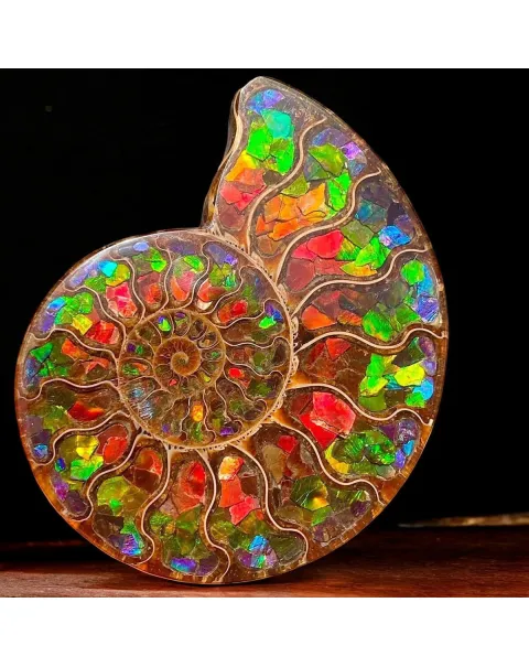 Ammonite Cleoniceras con Ammolite – Un Capolavoro Unico della Natura e dell'Arte.