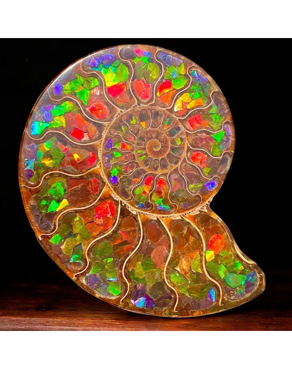 Ammonite Cleoniceras con Ammolite – Un Capolavoro Unico della Natura e dell'Arte.