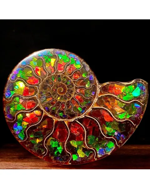 Ammonite Cleoniceras con Ammolite – Un Capolavoro Unico della Natura e dell'Arte.