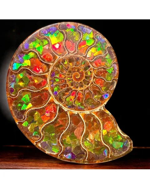 Ammonite Cleoniceras con Ammolite – Un Capolavoro Unico della Natura e dell'Arte.