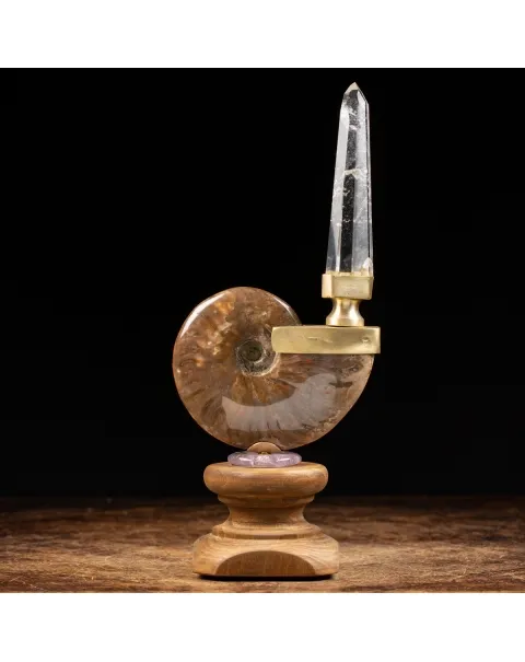 Ammonite Cleoniceras con punta di Quarzo