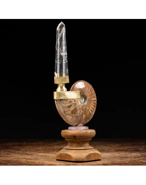 Ammonite Cleoniceras con punta di Quarzo