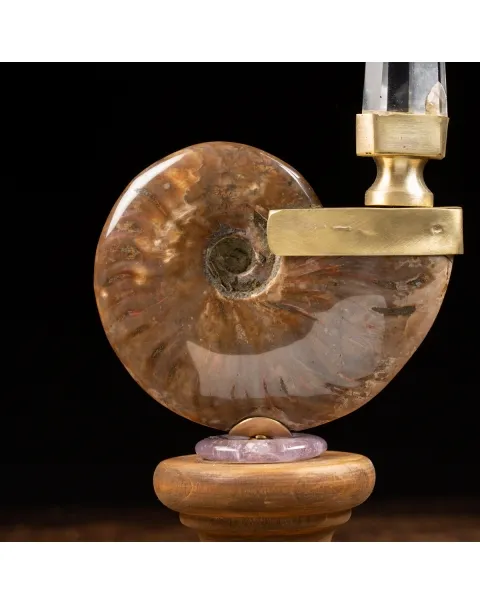 Ammonite Cleoniceras con punta di Quarzo
