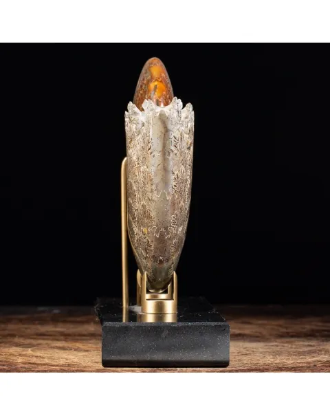 Ammonite Cleoniceras