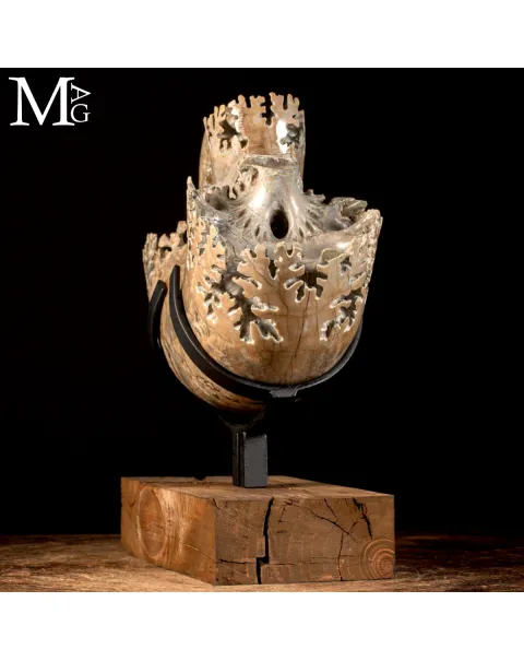 Ammonite Lytoceras - Scultura del Tempo.