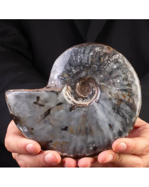 Ammonite Cleoniceras: Ematite e Agata Opalina.