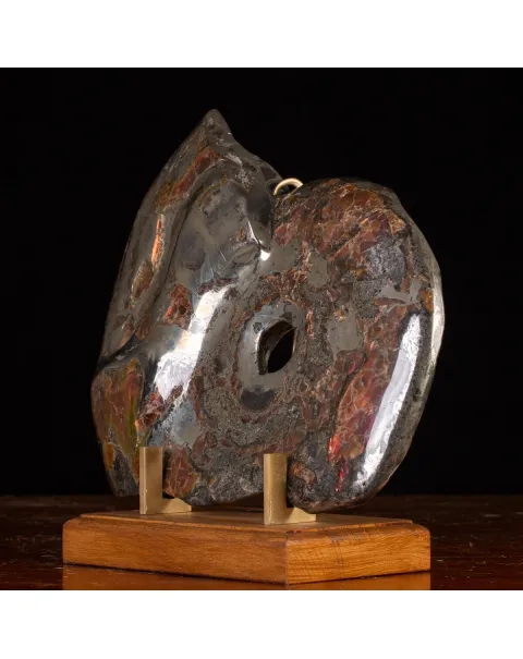 Ammonite Opalizzata con Pirite – Un Fossile di Squisita Bellezza.