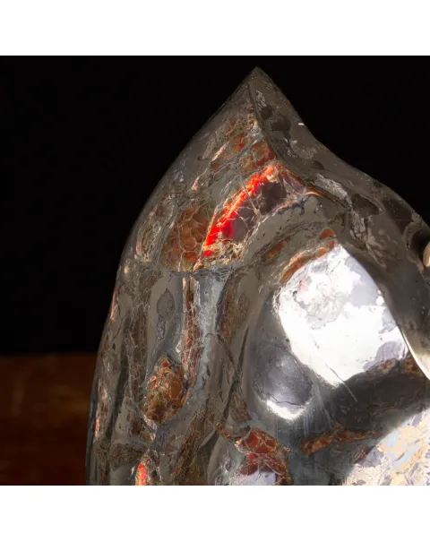 Ammonite Opalizzata con Pirite – Un Fossile di Squisita Bellezza.