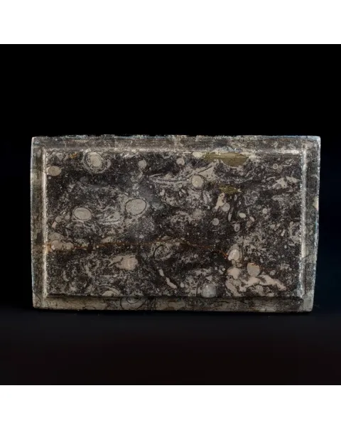 Cofanetto con Ammoniti