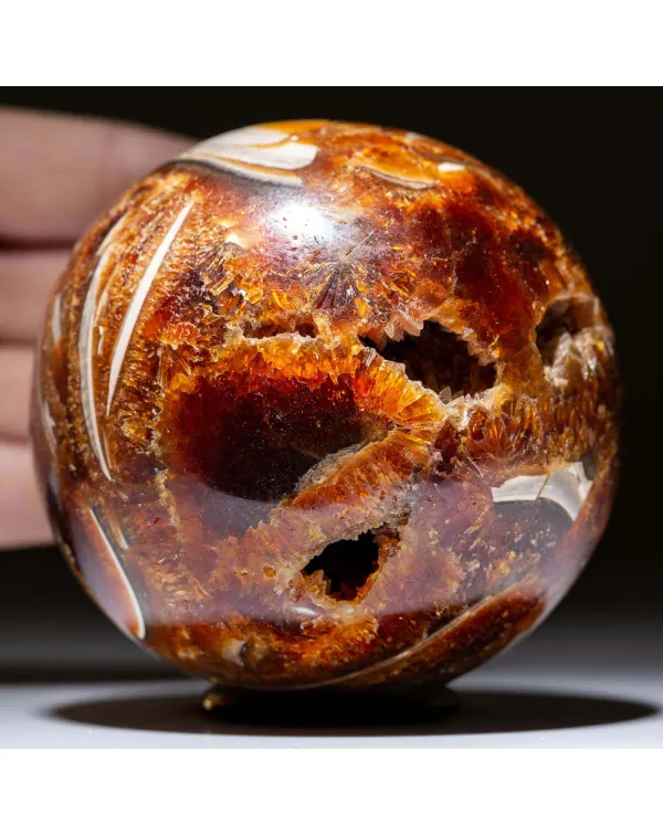 Sfera di Ammonite Cleoniceras con Calcite e Aragon...