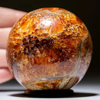 Sfera Fossile di Ammonite Cleoniceras.