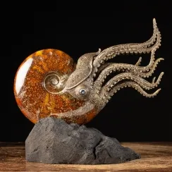Sculture con Ammonite (13)