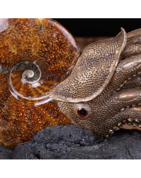 Scultura Ammonite