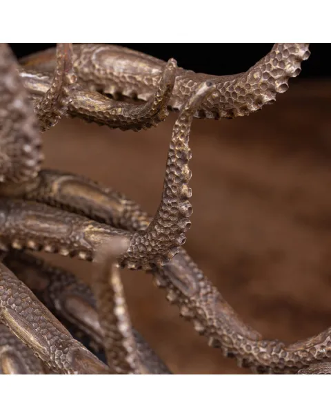 Scultura Ammonite