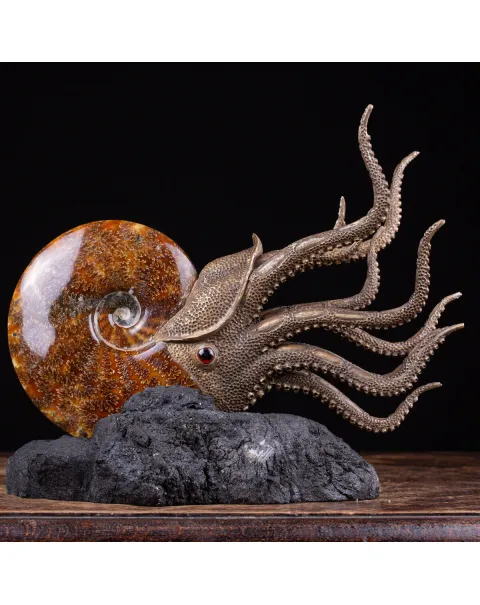Scultura Ammonite