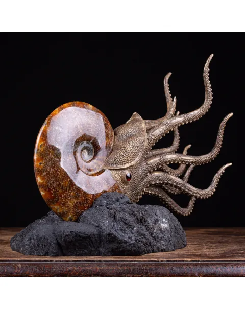 Scultura Ammonite