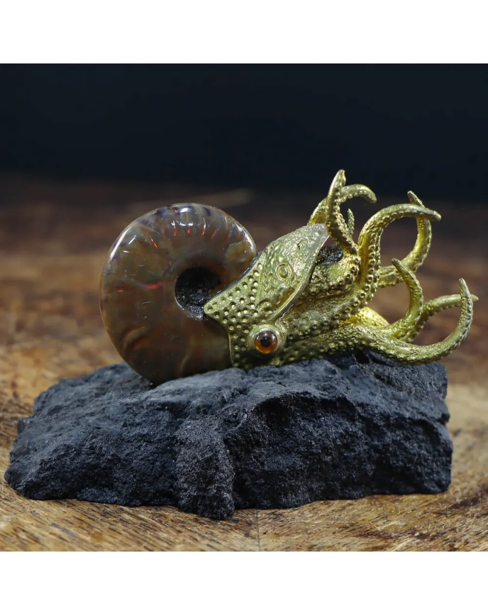 Scultura Ammonite