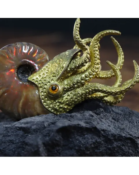 Scultura Ammonite