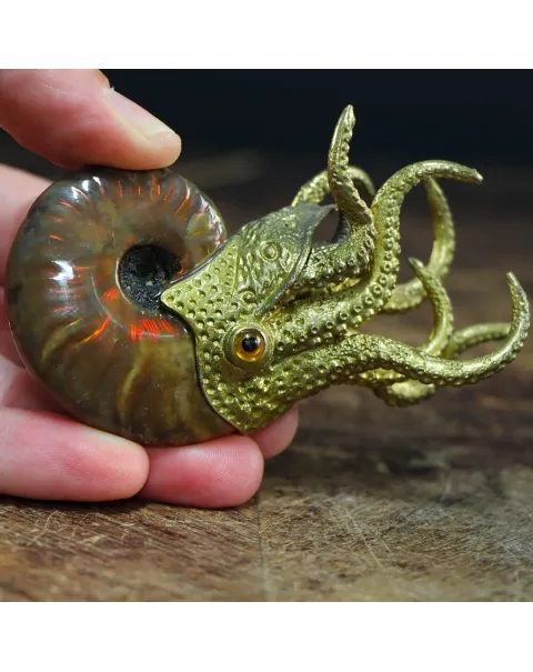 Scultura Ammonite