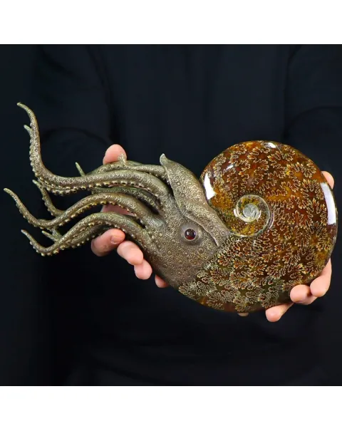 Scultura Ammonite