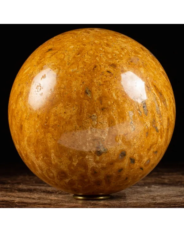 Sfera in Corallo Fossile