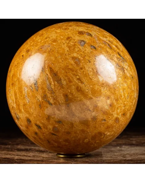 Sfera in Corallo Fossile